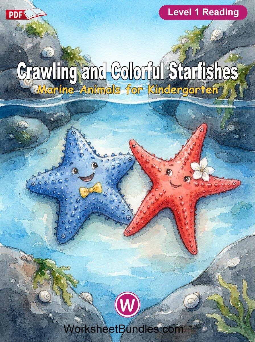 Crawling and Colorful Starfishes