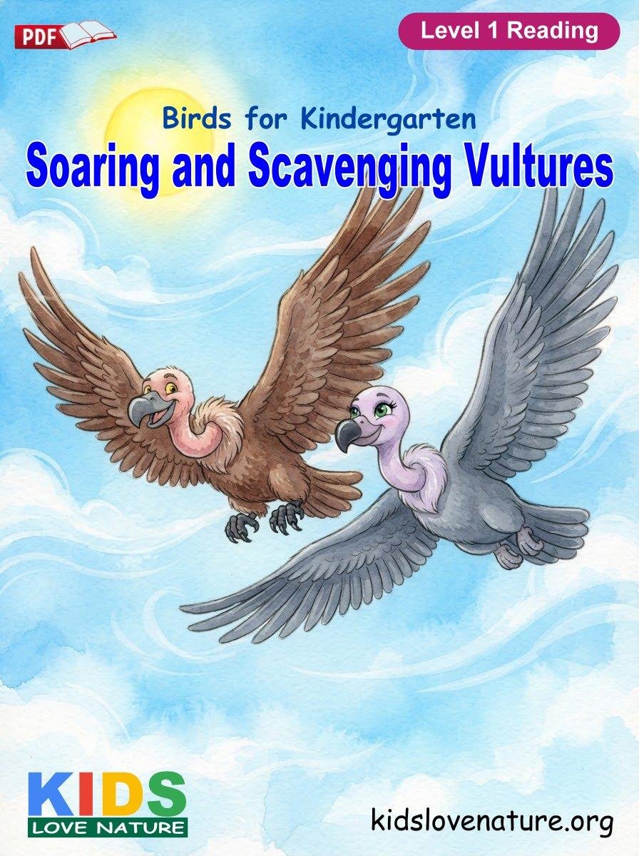 Soaring and Scavenging Vultures