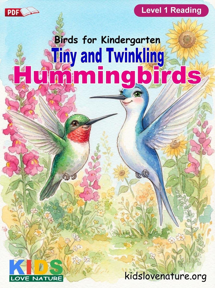 Tiny and Twinkling Hummingbirds