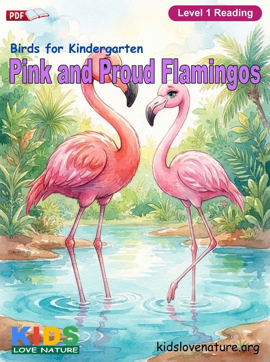 Pink and Proud Flamingos