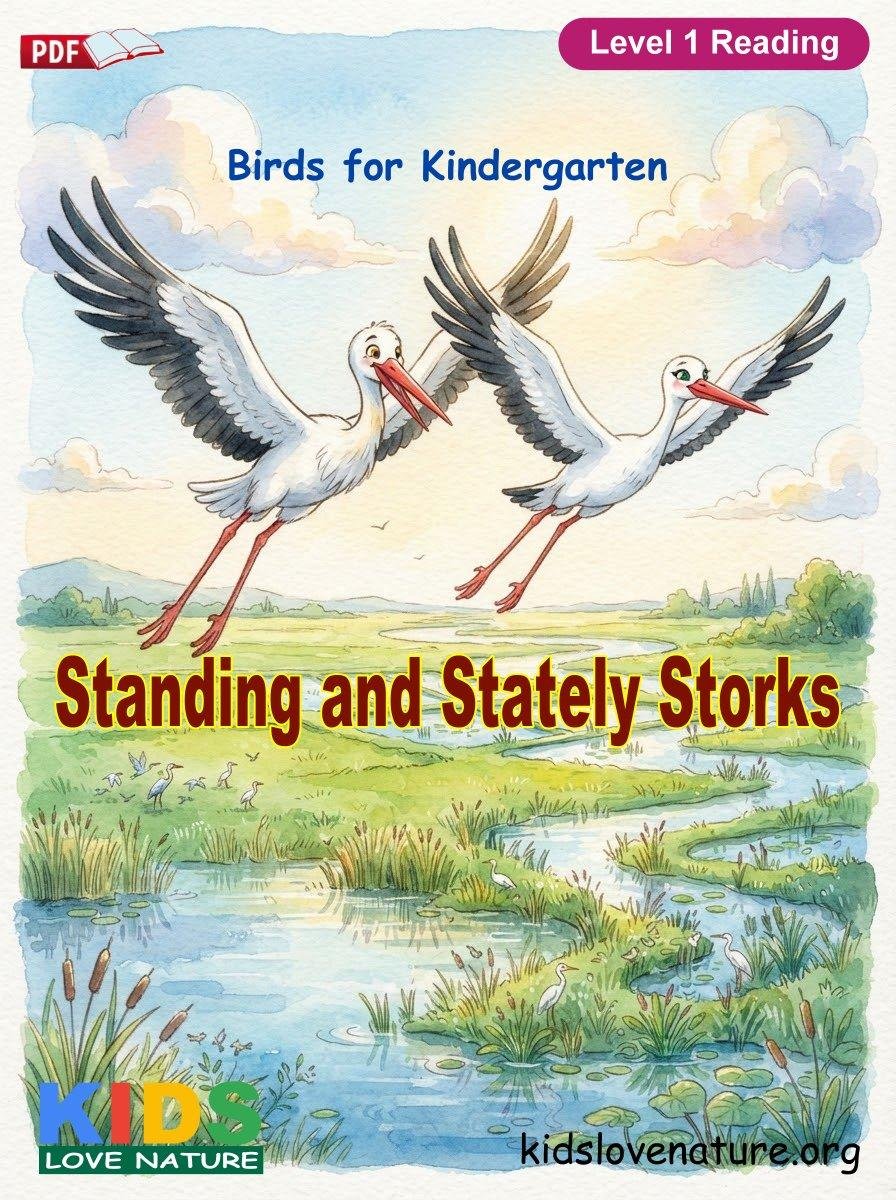 Standing and Stately Storks