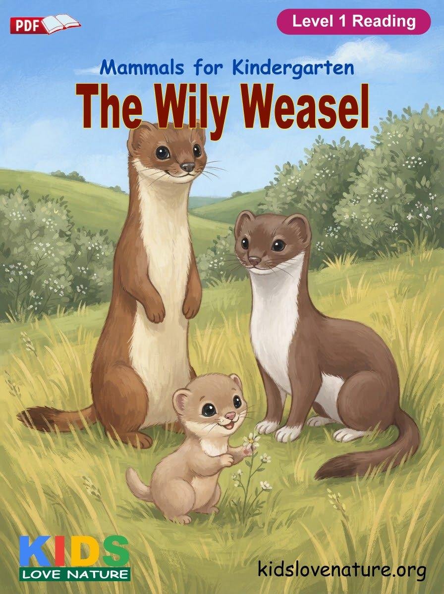 The Wily Weasel
