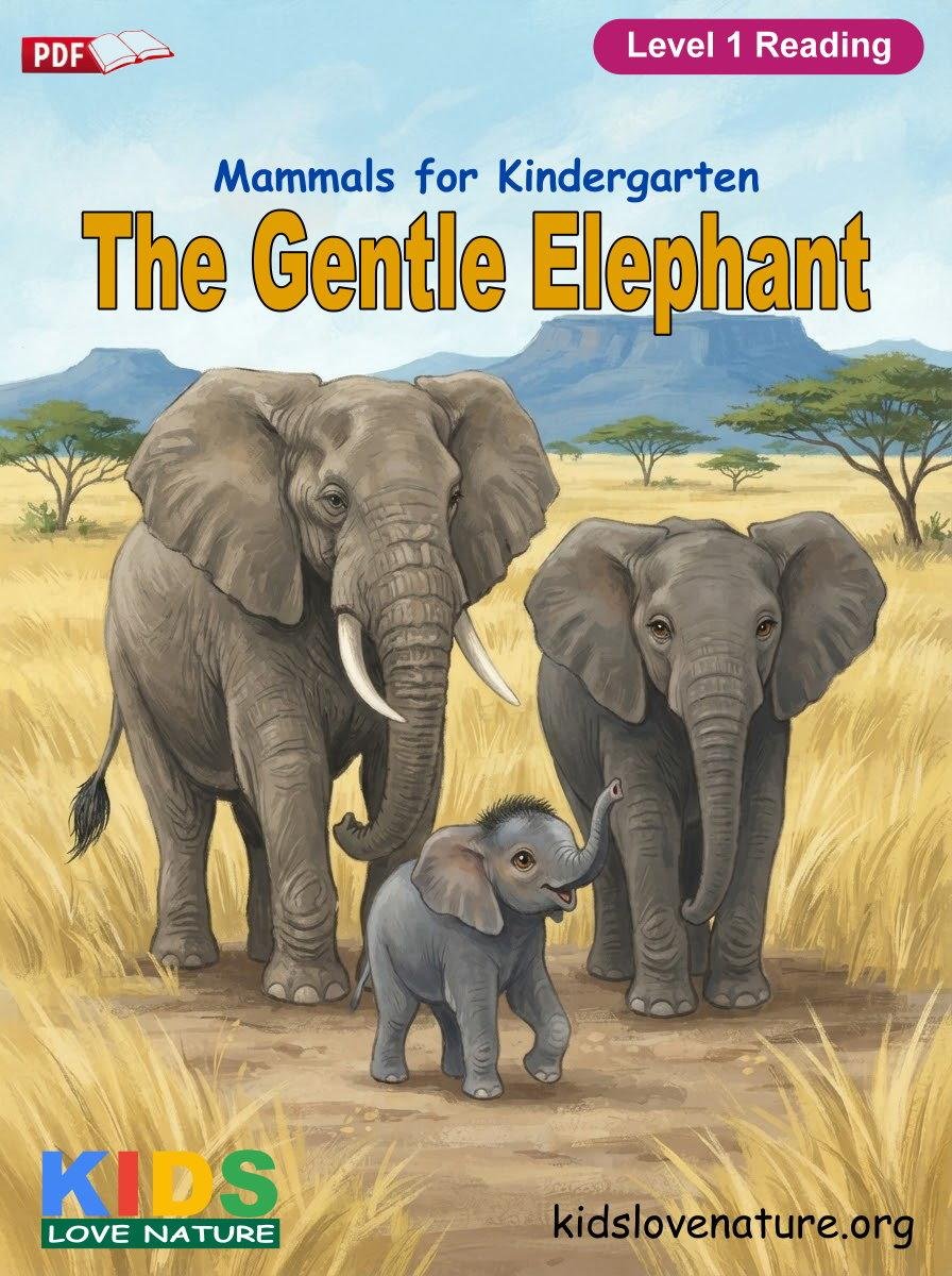 The Gentle Elephant