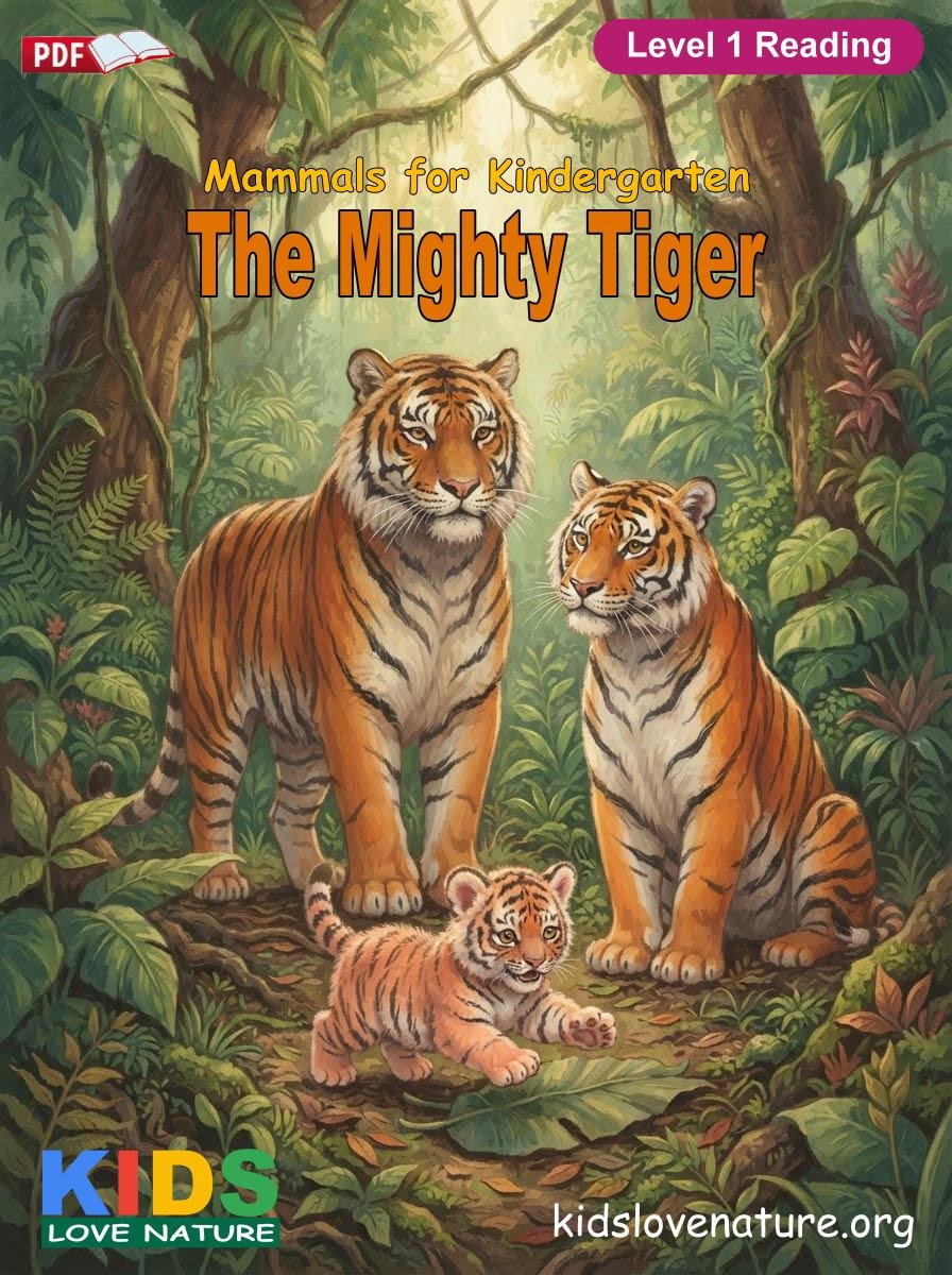 The Mighty Tiger