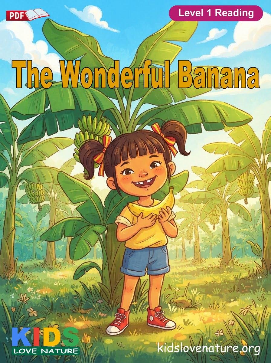 The Wonderful Banana