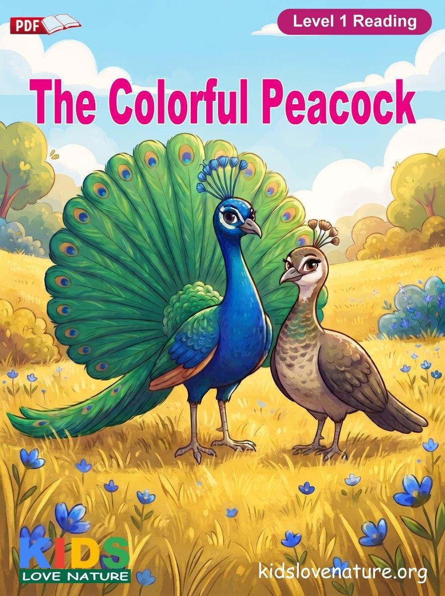The Colorful Peacock