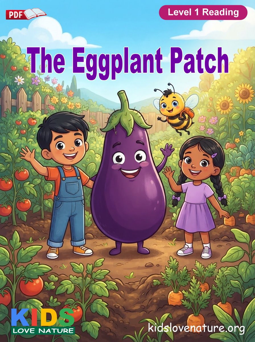 The Eggplant Patch