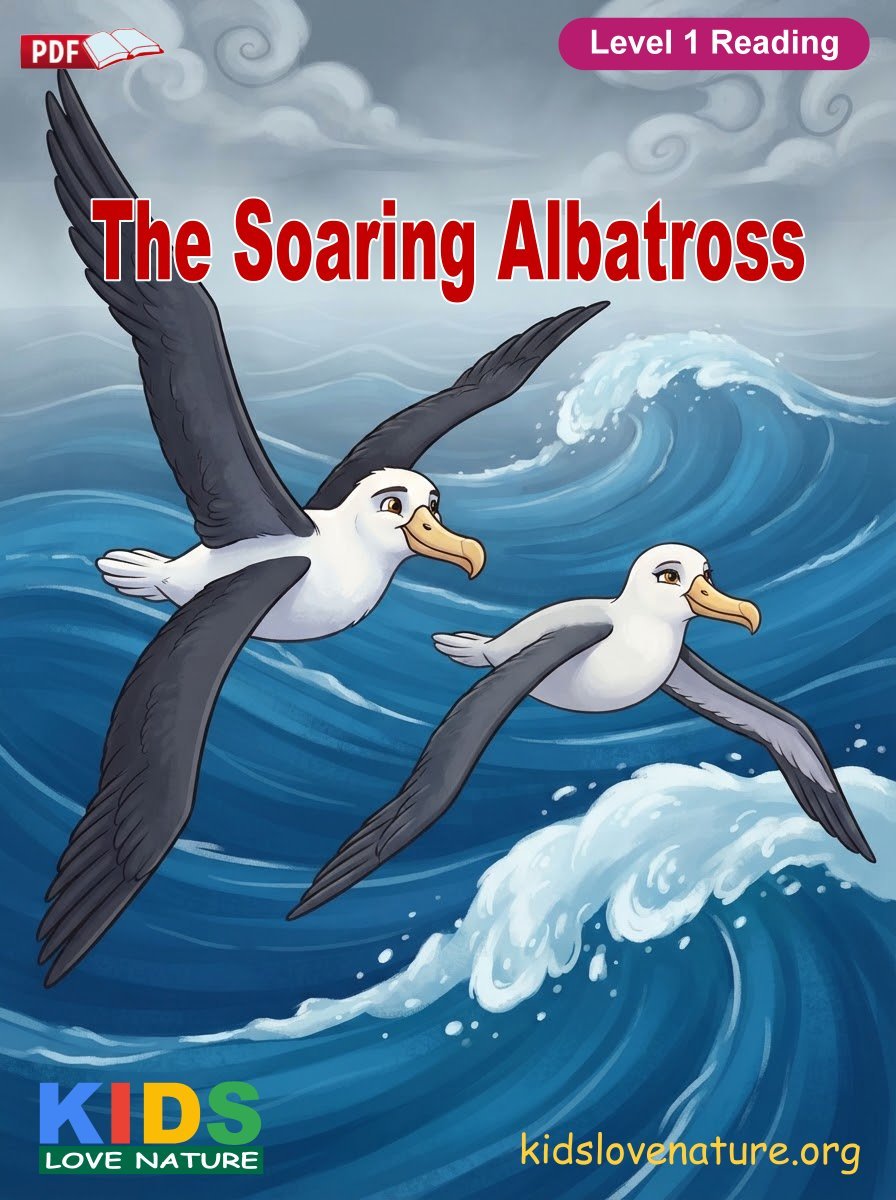 The Soaring Albatross