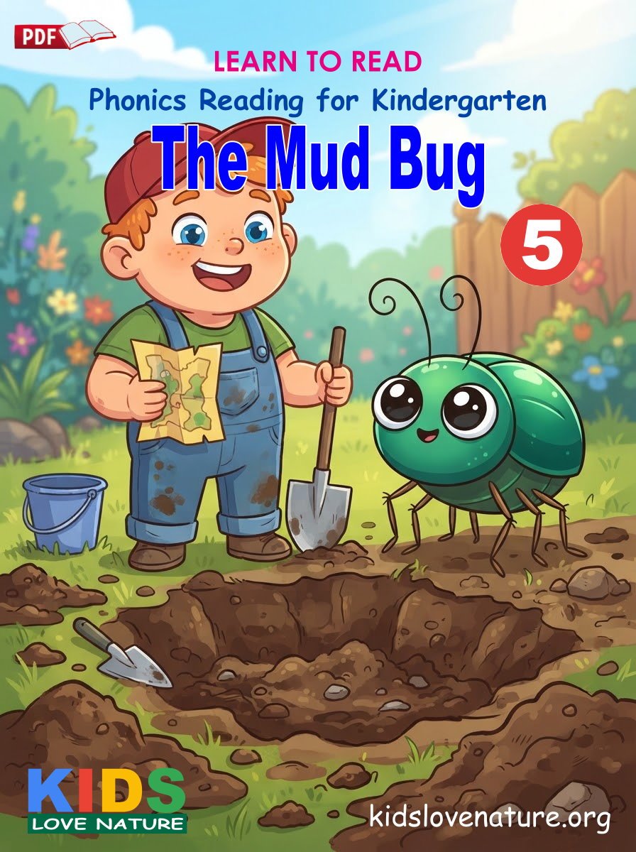 The Mud Bug