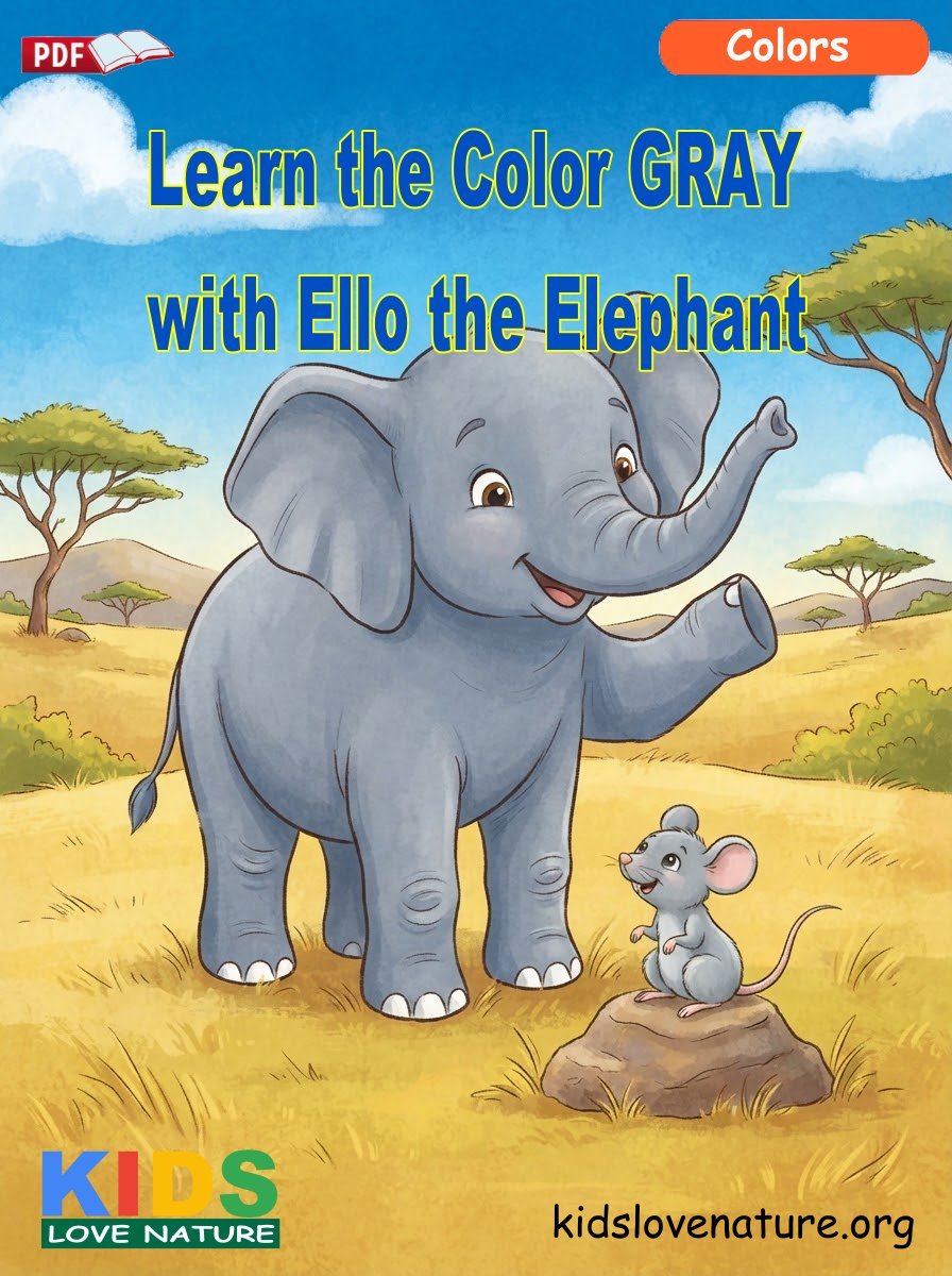 Learn the Color GRAY with Ello the Elephant
