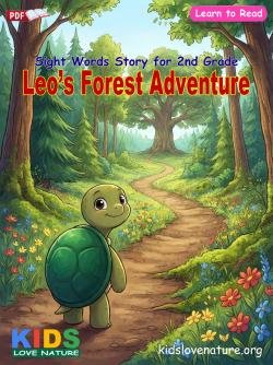 Sight Words Story for 2nd Grade: Leo’s Forest Adventure