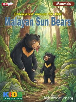 Endangered Animals for Kids: Malayan Sun Bears